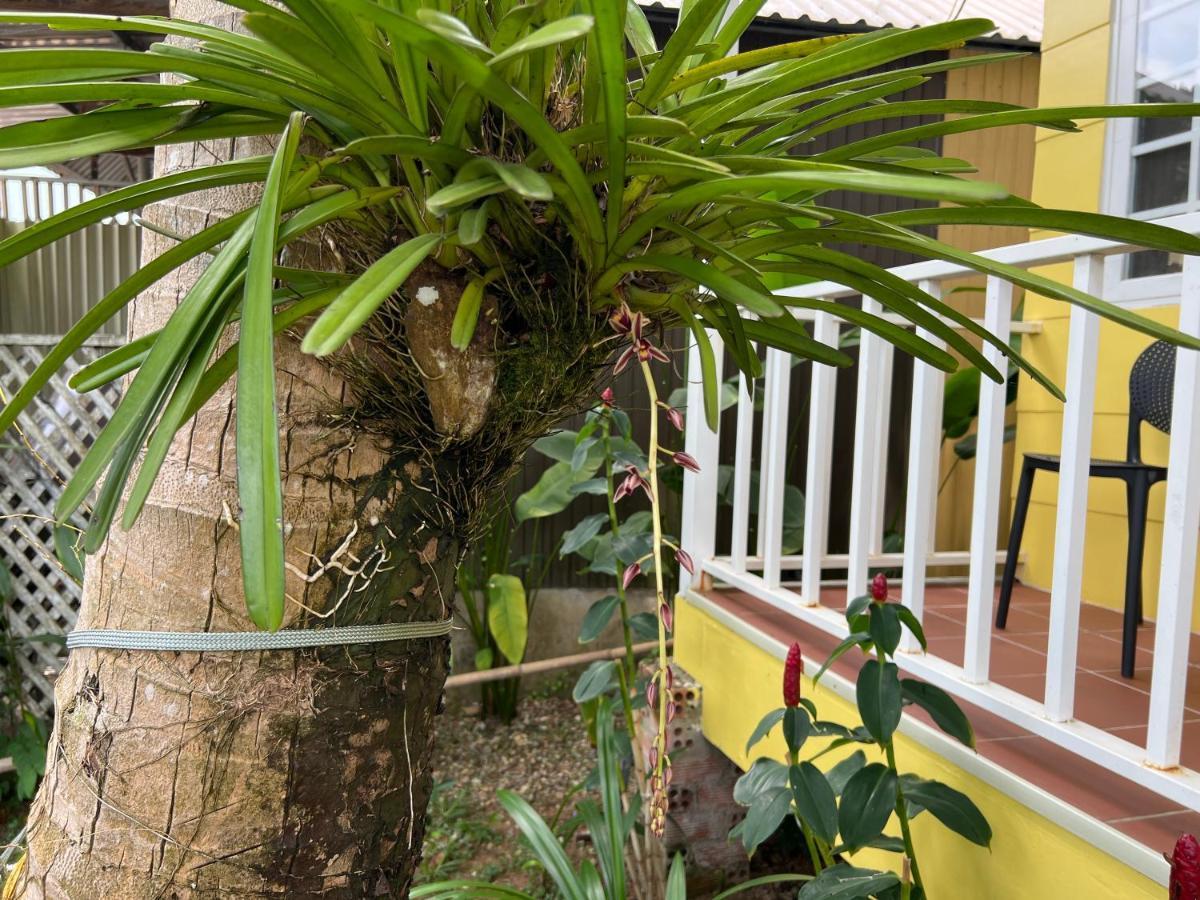 Апартаменты Tropical Garden Дуонг-Донг Экстерьер фото