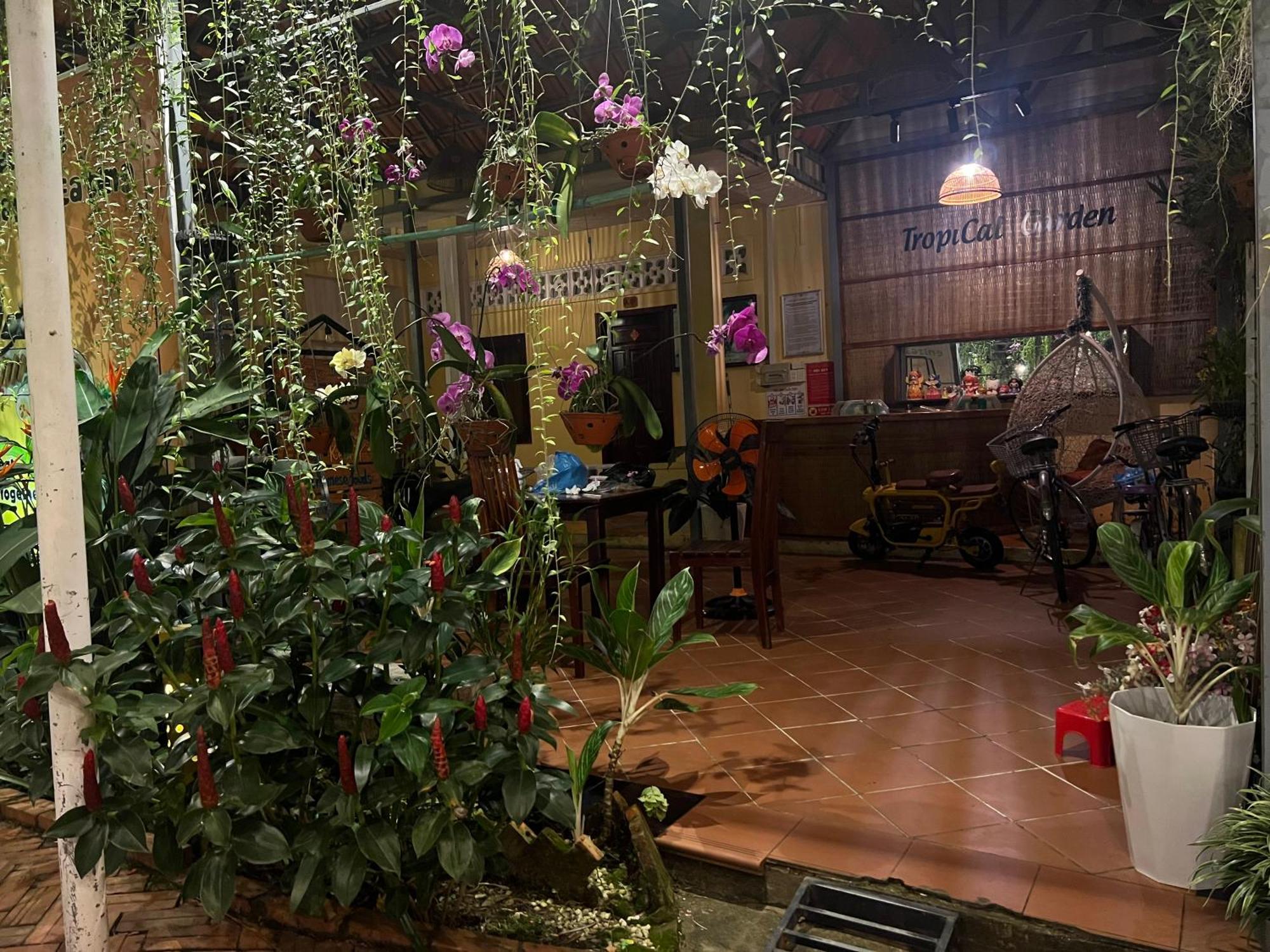 Апартаменты Tropical Garden Дуонг-Донг Экстерьер фото